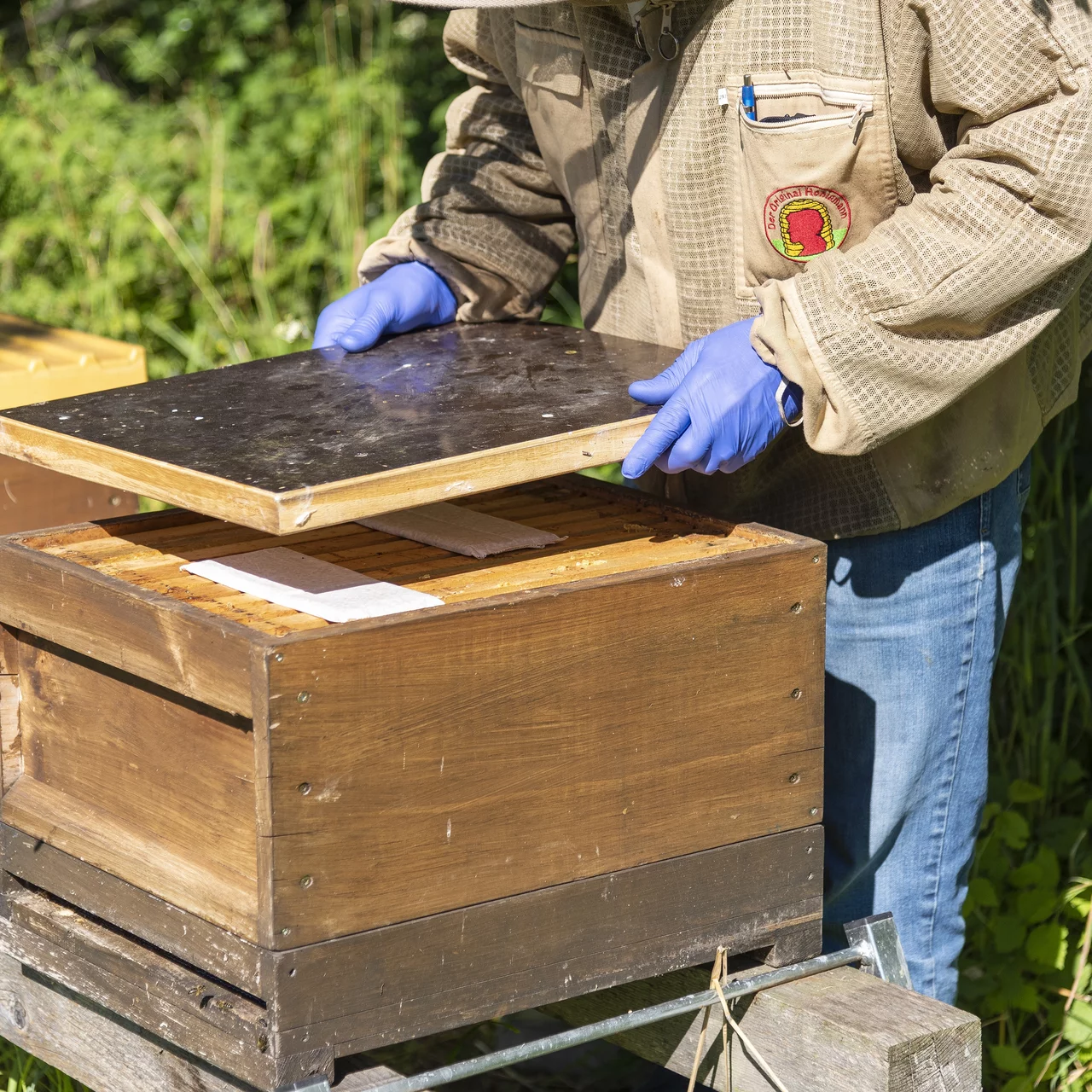 Wie Funktioniert Der Bienenstock - HLBEG